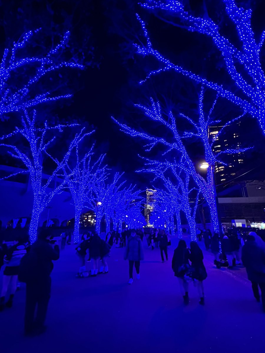 N響12月Cプロ。青の洞窟の季節になりました。第19回ショパン国際ピアノコンクールの覇者、エリック･ルーの凱旋公演。第2番優勝者の演奏を聴ける機会は大変貴重でありがたいのだけど、疲労に塗れた金曜の夜に聴く演奏としては少々優し過ぎた。夢見心地で気持ちよかったという小並感が今日の感想です。