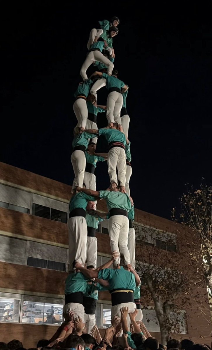 Arreplegats de la Z.U. tweet media