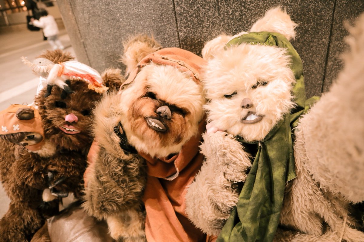 まなみん (@EnterSlope) / Posts / X