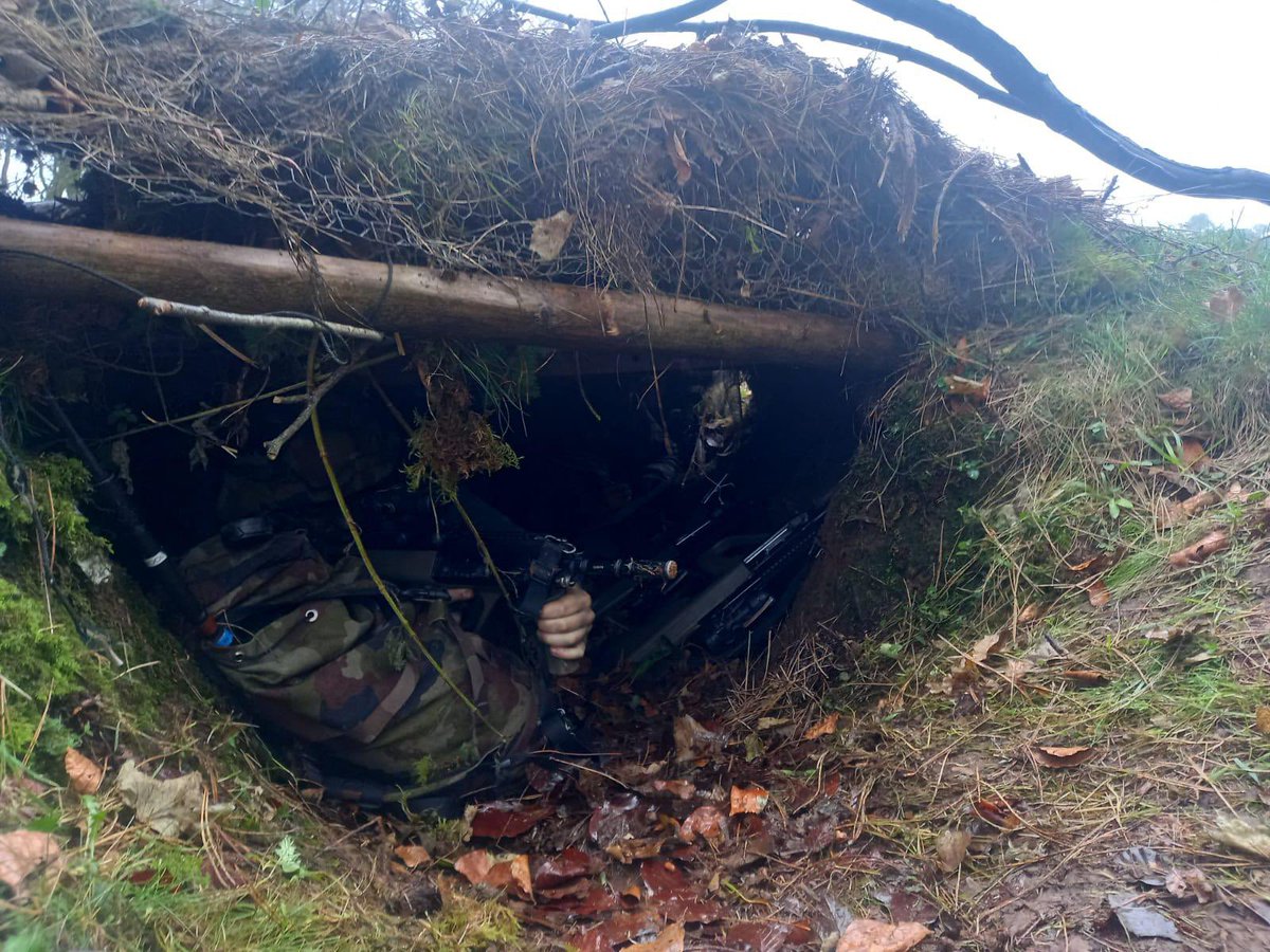 Defence Forces Cavalry Corps tweet media