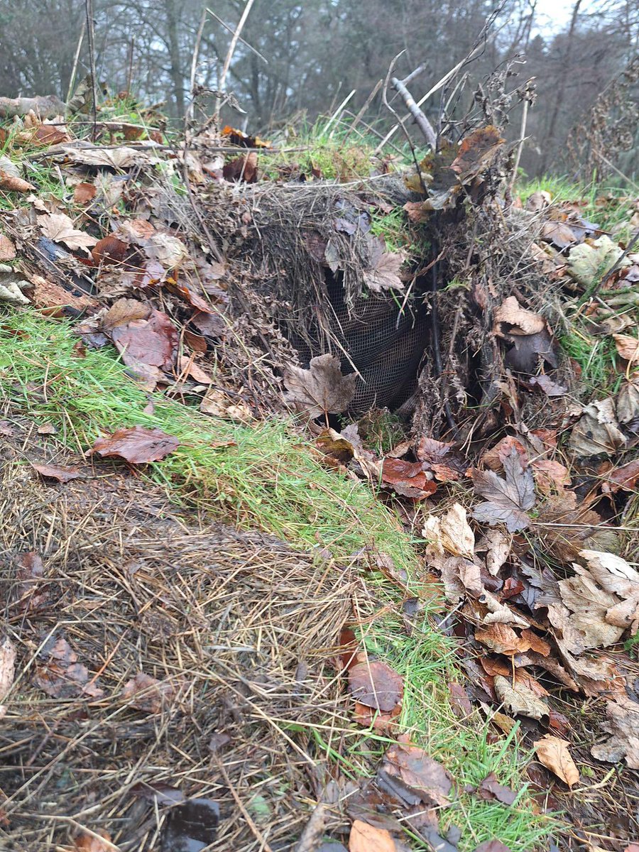 Defence Forces Cavalry Corps tweet media