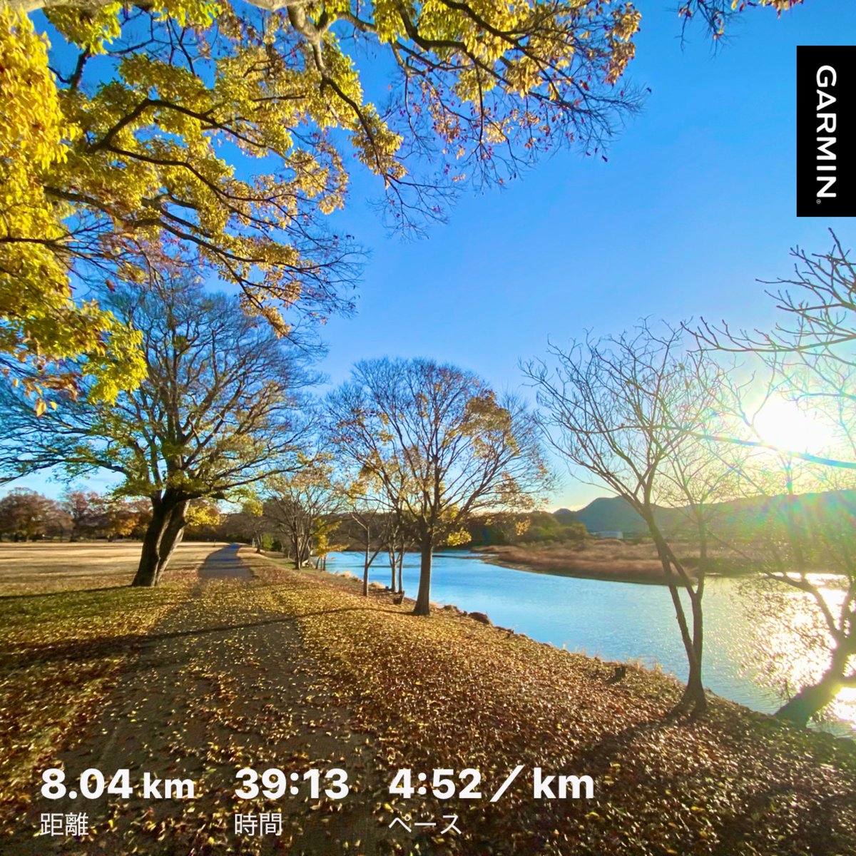 朝ランでした🏃
時間捻出できた時の朝ランは格別🍁
身も心も久々天日干してきた感じ☀️
明後日はハーフ大会です。
練習積めてなくてタイムはどうだっていいと開き直ると気が楽になり、本気で楽しむぞという力が沸いてきます。
しかし当日天気微妙だなぁ。

＃朝ラン
＃マジックスピード5