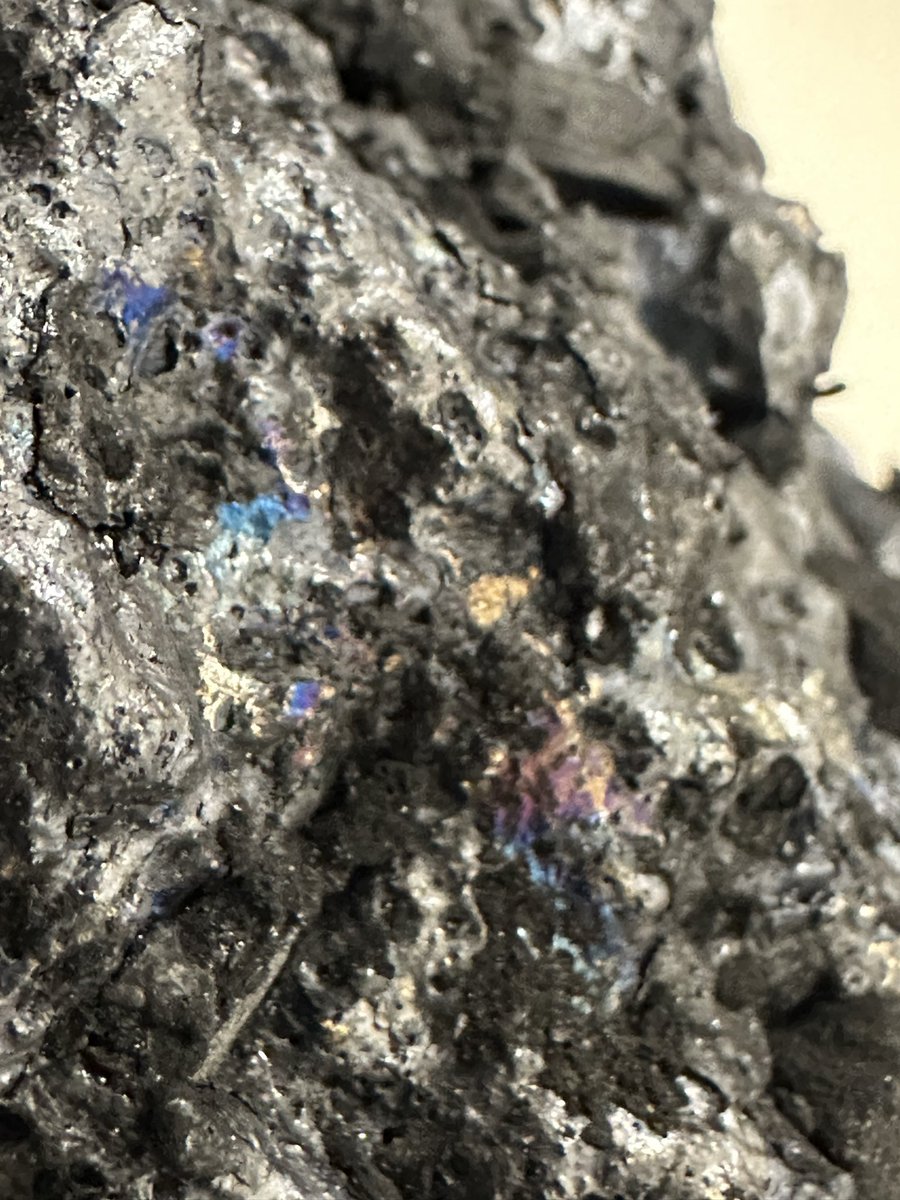 Xavier Archéo'Japon tweet media