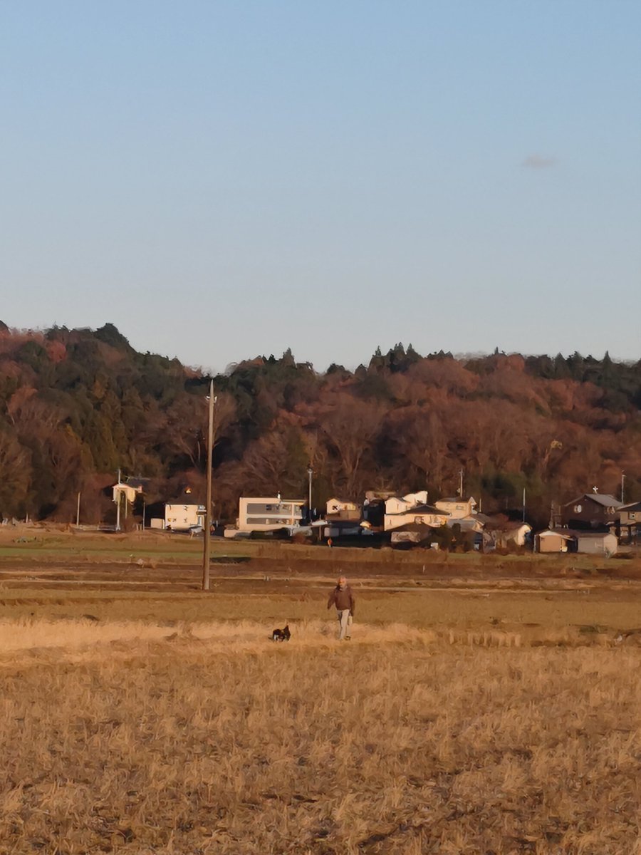 益子焼 木村製陶公式アカウント (@kimura_seitou) / Posts / X