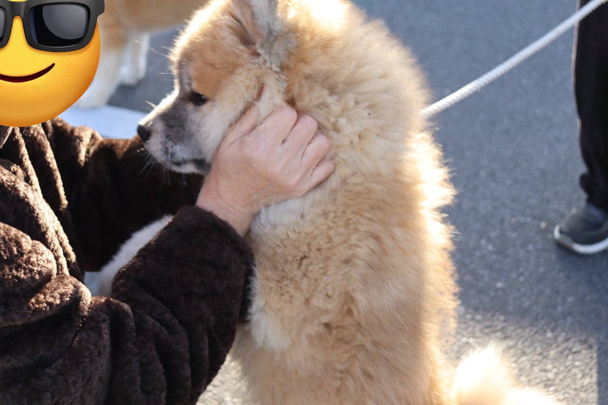 まめちゃん(甘え上手な姿)