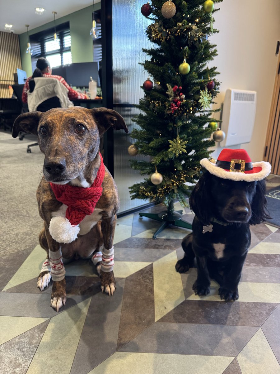 Urban Design & Construct Limited tweet media