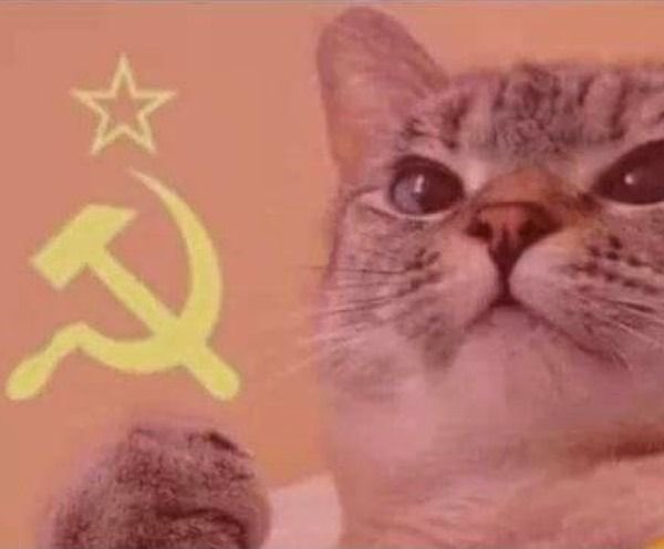 “Entre más recauda el tour, más grandes son los bonos”

LA VERDADERA PROSPERIDAD COMPARTIDA JAJAJA