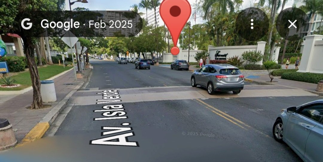 Esta es la Av. Isla Verde, arteria turistica en San Juan PR, esta minada de estos cruces, si, ese es el principal objetivo, cruce peatonal que nivele la calle para facilitar el cruce de envejecientes y discapacitados. Un palo para las personas, aqui priorizamos en los "animales"