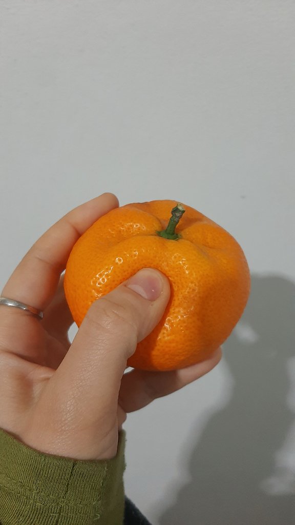 Biresmaa tweet media