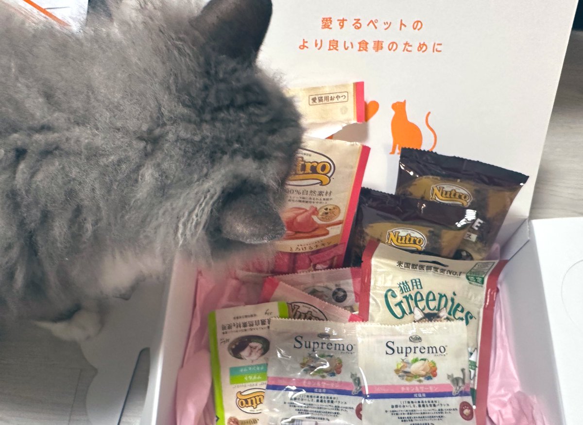 すぐ届いた〜😽これ無料は嬉しい🐾