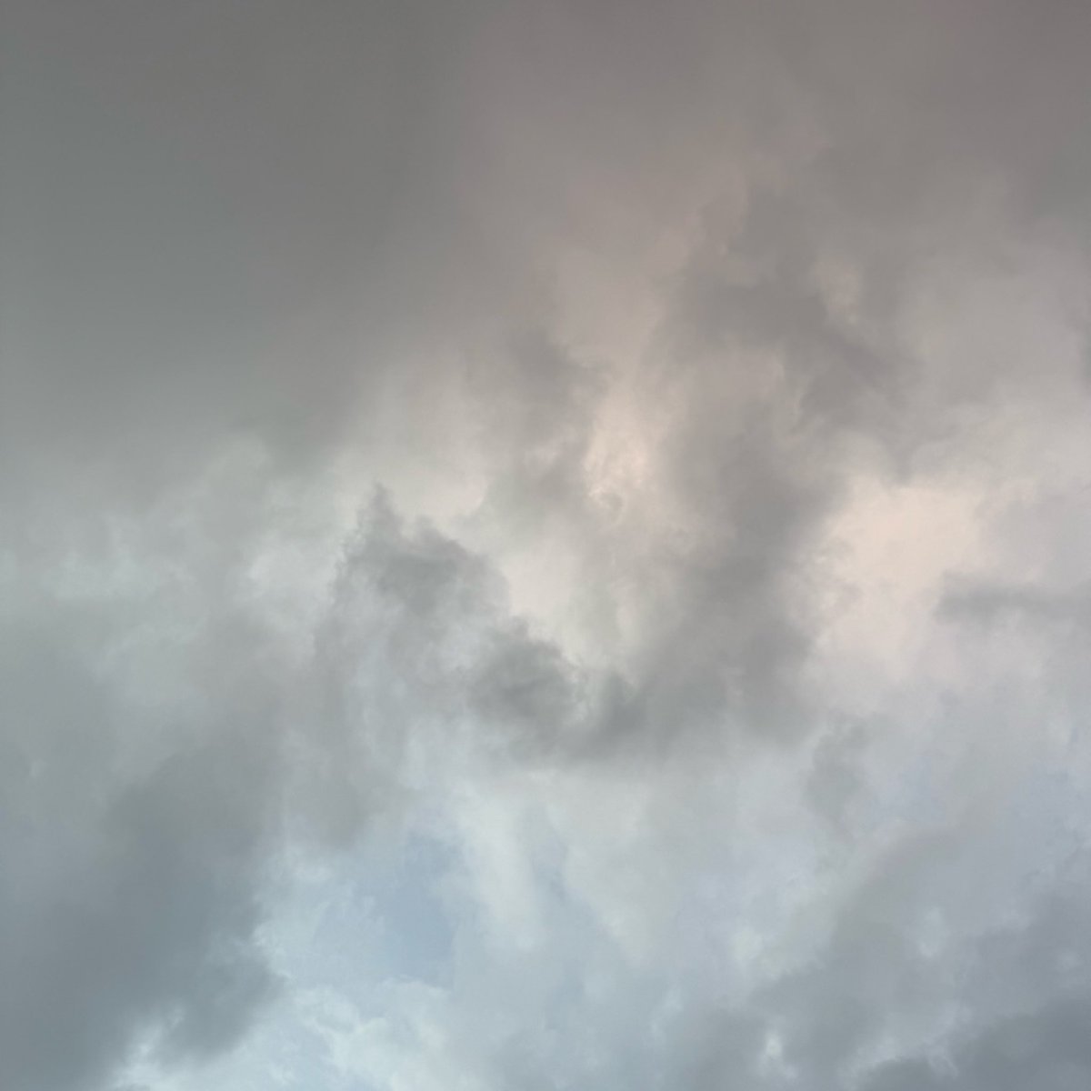 تزاحمت النعم مطر ويوم جمعة
 ورب مجيب، اللهم أمانينا وأحلامنا بين يديك 🤍