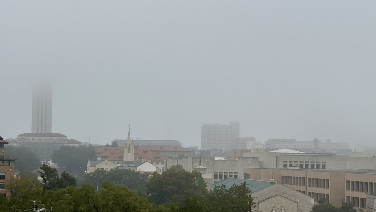 Megan Campbell tweet media