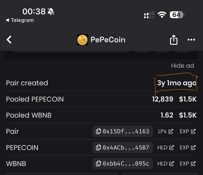 PePeCoin | BSC OG Pepe tweet media
