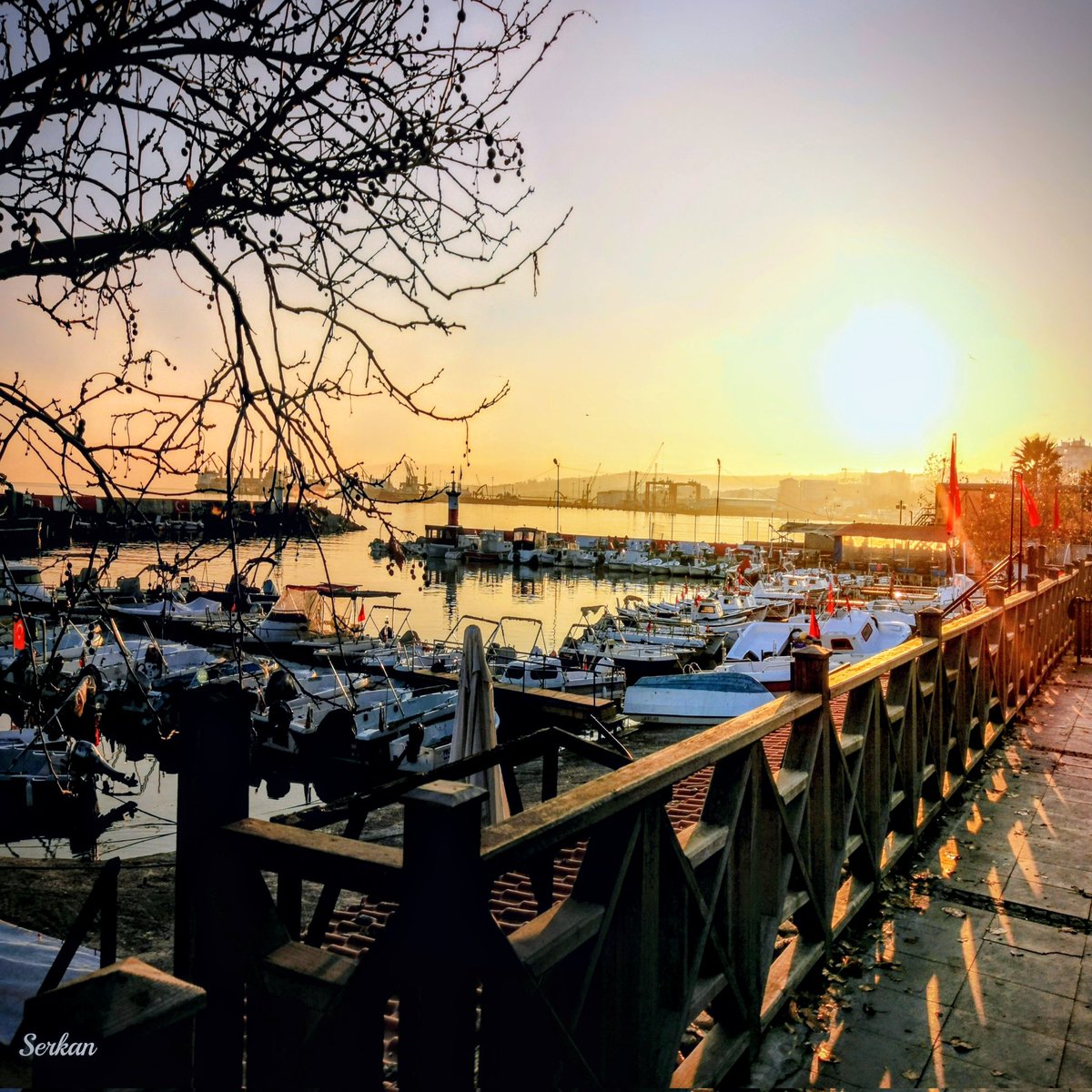 tekirdagsehri's tweet photo. Tekirdağ Sahil
Süleymanpaşa, Tekirdağ
12.12.2025
#süleymanpaşa #suleymanpasa
#tekirdağ #tekirdag
#trakya #marmara
#rodosto #bisanthe #tekirdağfotoğrafları #tekirdağ59 #tekirdağsahili #tekirdağsahil #tekirdağliman #turkey #türkiye #turkiye🇹🇷 #türkiyem🇹🇷 https://t.co/GcsXzOrO3D