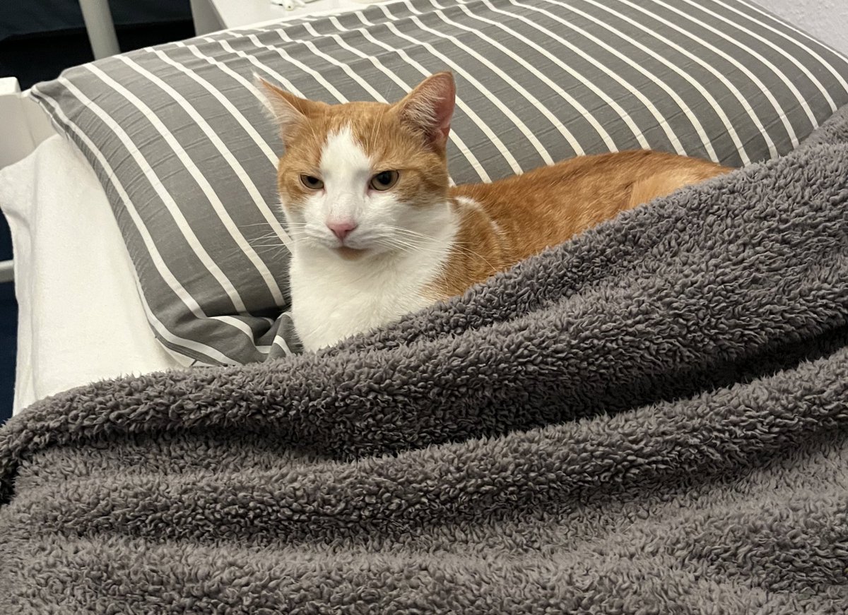 Was ein vornehmender junger Mann