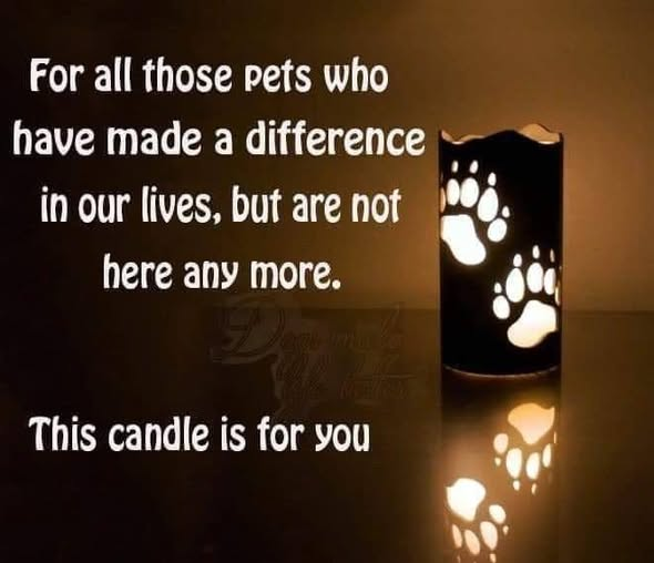 Papa Woof und Krampus und Bleaken (@woofknight) on Twitter photo 