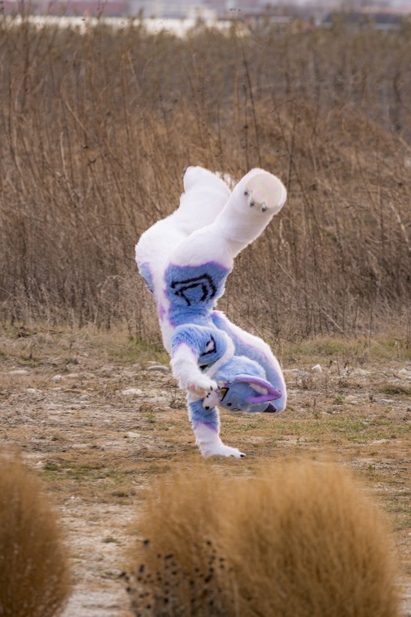 나의공중제비를멈추게하십시오