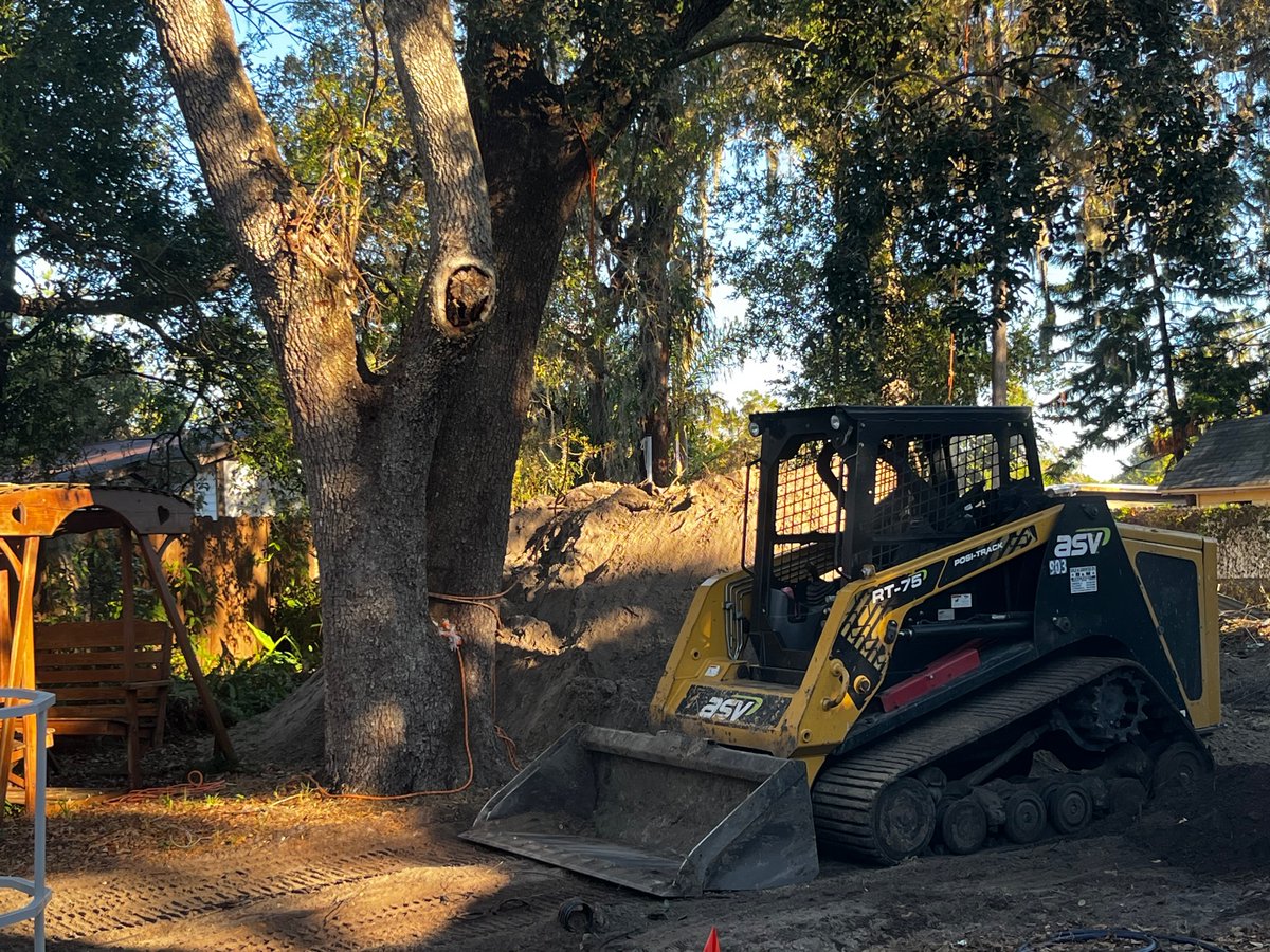 Dolores G. Morris tweet media