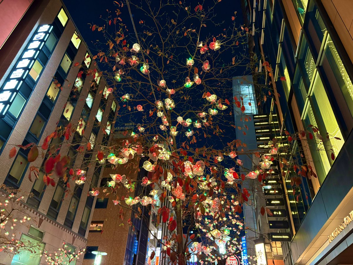 週末
昨日用事で彼方此方

今の時期イルミネーション
綺麗　日本のブロードウェイ
銀座日比谷新橋〜

地震も心配ですが

旅行長い間できなかった

こまめに気分転換