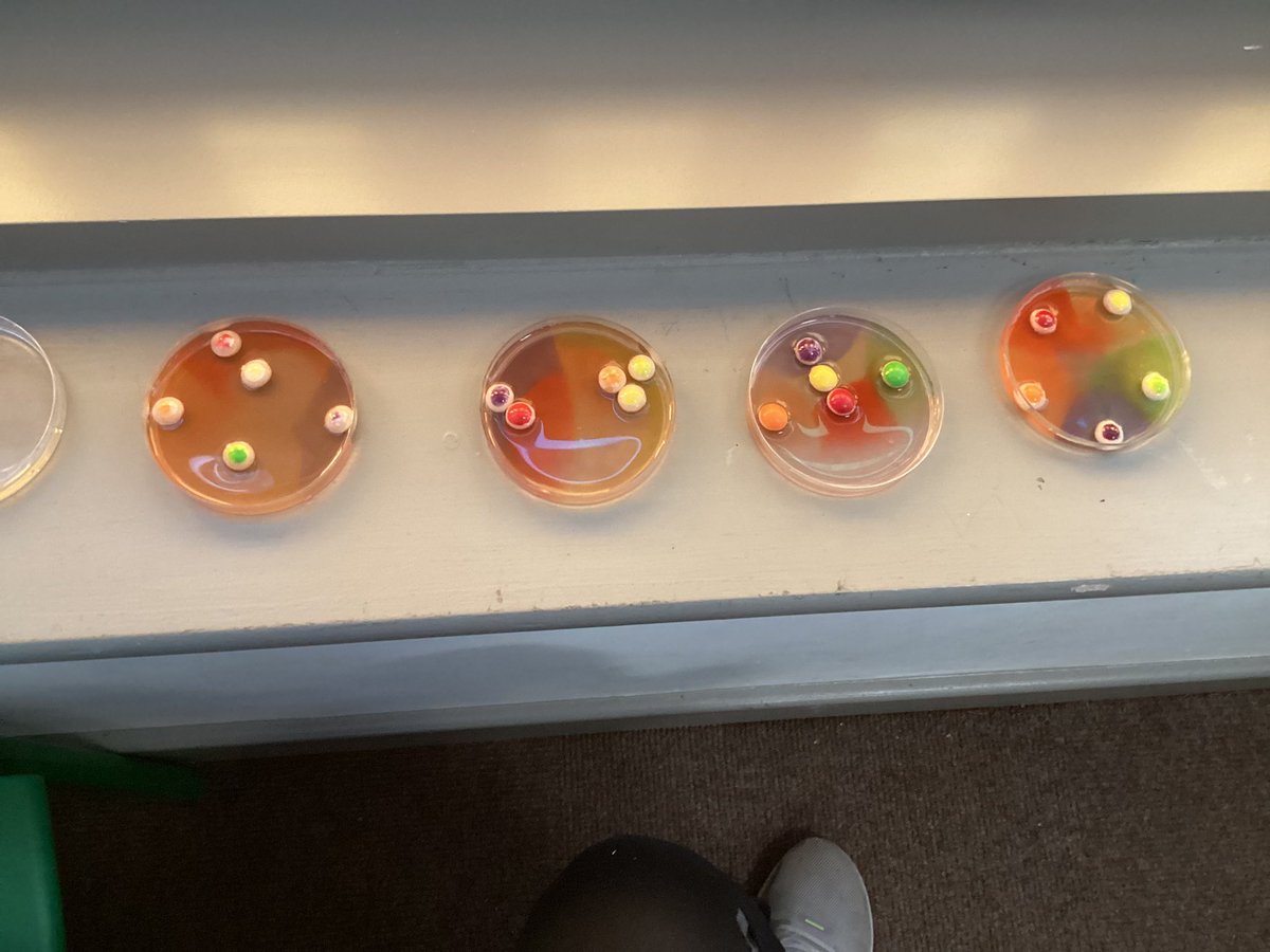 Pine Tree Class tweet media