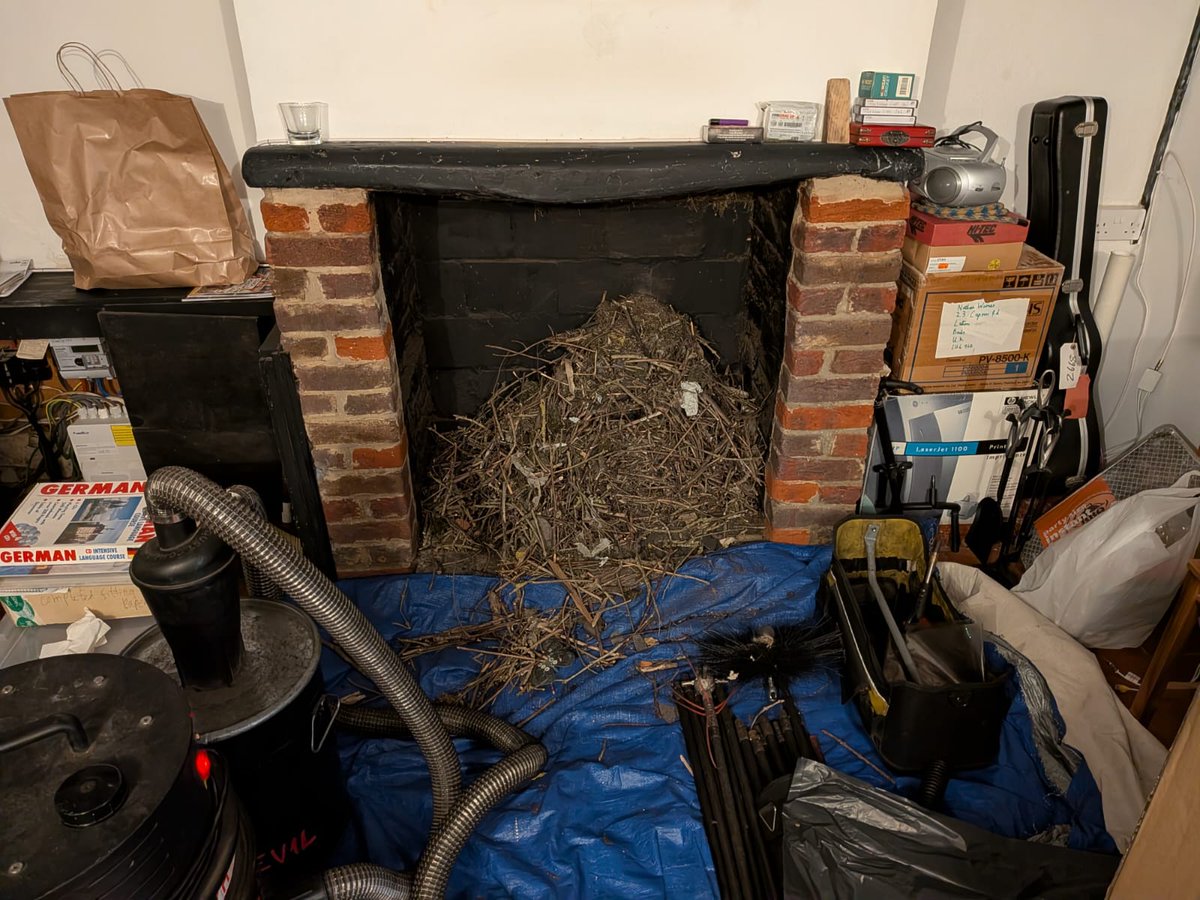 Now thats a nest 👀❌️🔥🕊
<a href="/Flamecheck1/">Flamecheck Ltd</a>