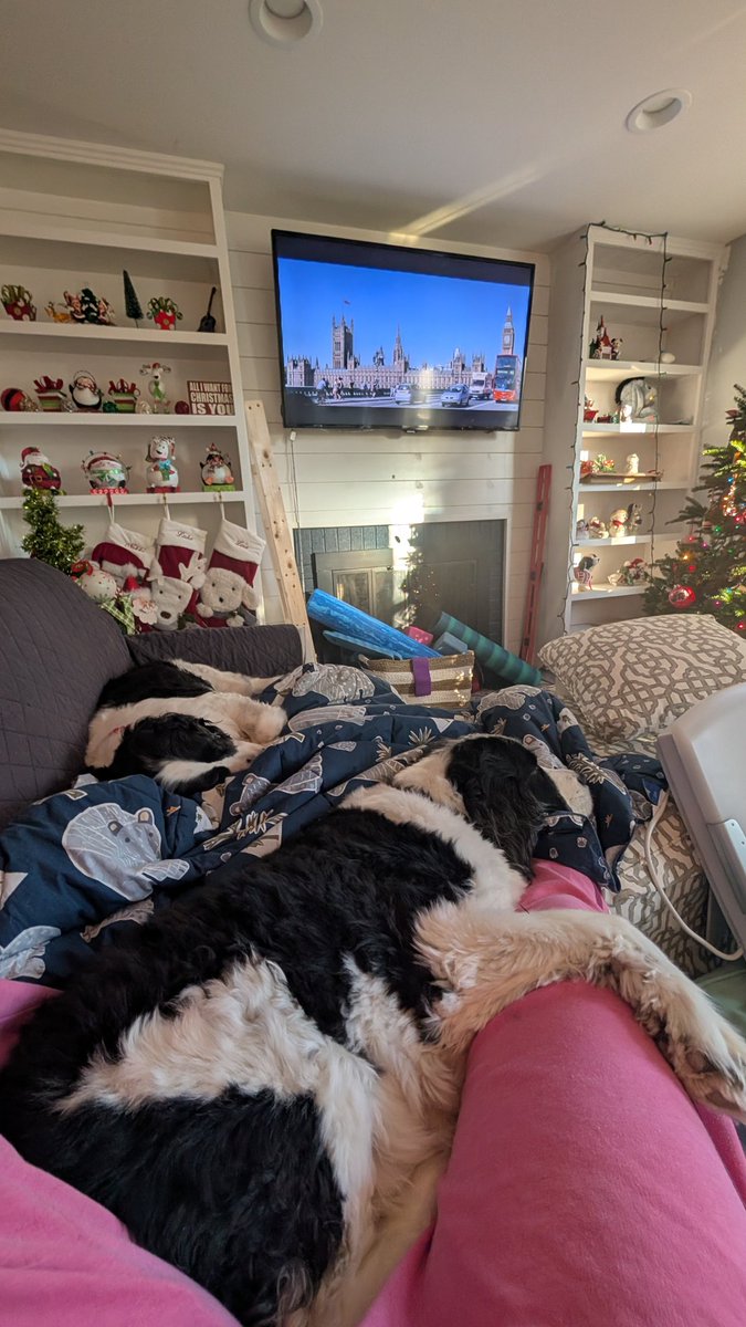 Nikki heard the black dog live ❤️‍🔥 tweet media