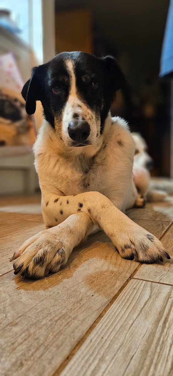 "Pogadajmy o tych kabanosach ktore marnuja sie w lodowce" #Maya negocjator