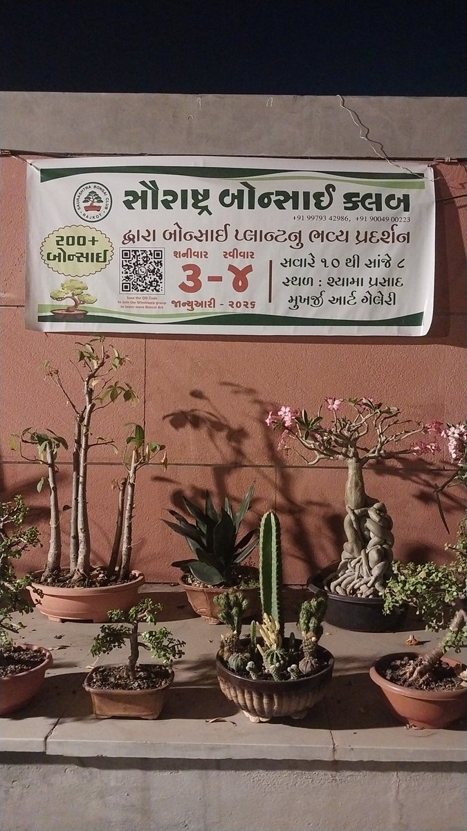 Dr_RDPatel's tweet photo. Must to attend for all #bonsai lovers... https://t.co/XkV6wG7aTz