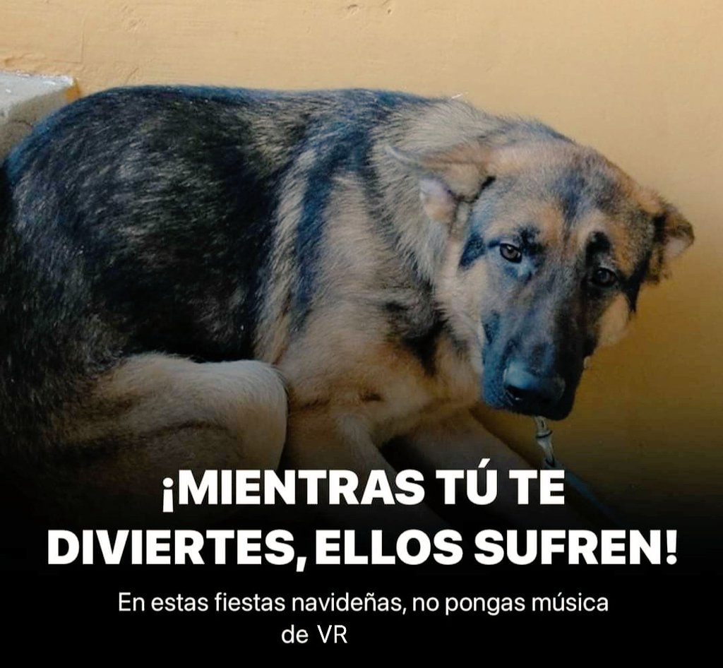 TraedCroquetas's tweet photo. Ahora que llegan las fiestas, recuerda: https://t.co/tztZrSGKSO