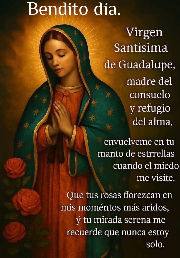 LauraMe57489101's tweet photo. "Danos tus ojos, María, para descifrar el misterio que se oculta tras la fragilidad de los miembros del Hijo" (San Juan Pablo II).
#BuenosDiasATodos https://t.co/cxNtGoDclL
