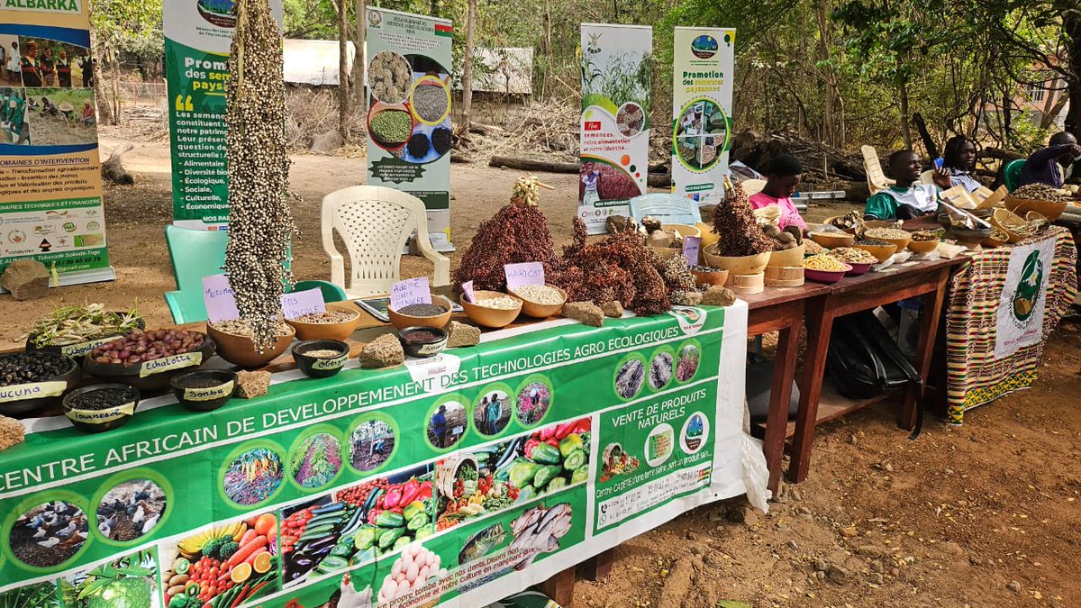 INADES-Formation tweet media