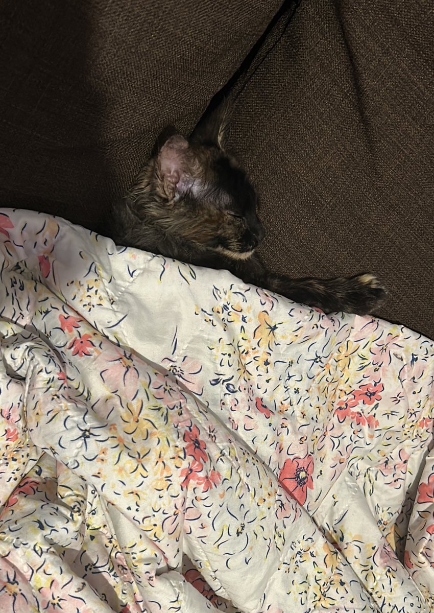 ilk karma asisini oldu simdi yatiyor masallah bu kiza 🧿