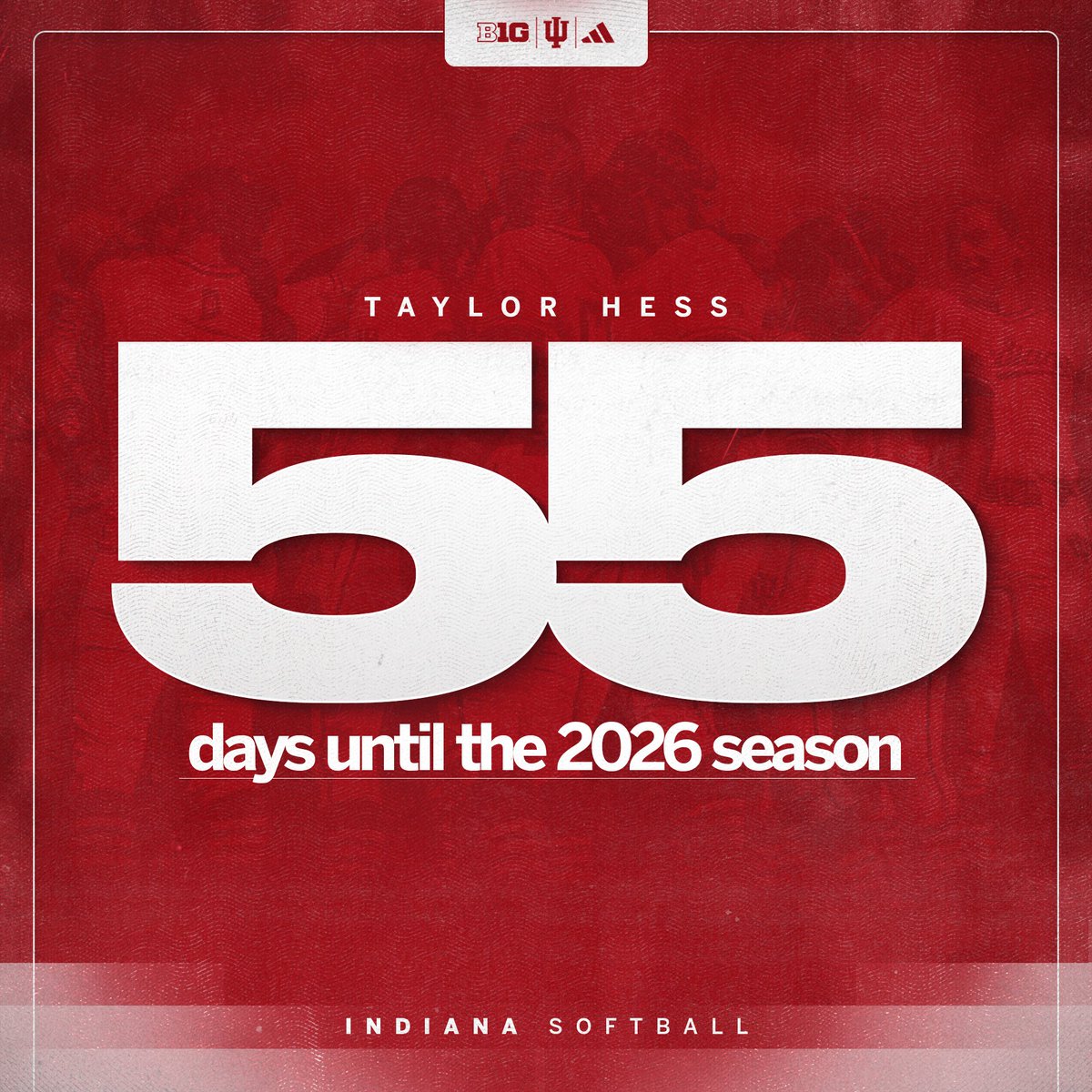 Indiana Softball tweet media