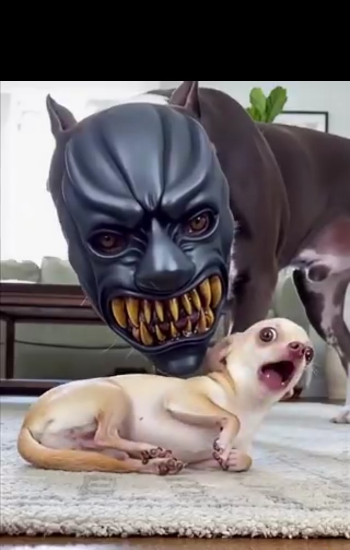 #KingAriesDwayneScreenShoTz
*Wallpaper