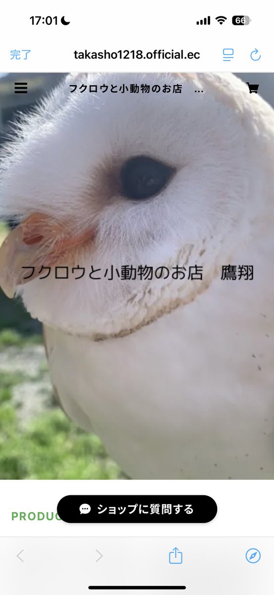 フクロウと小動物のお店 鷹翔 (@takasho_petshop) / Posts / X
