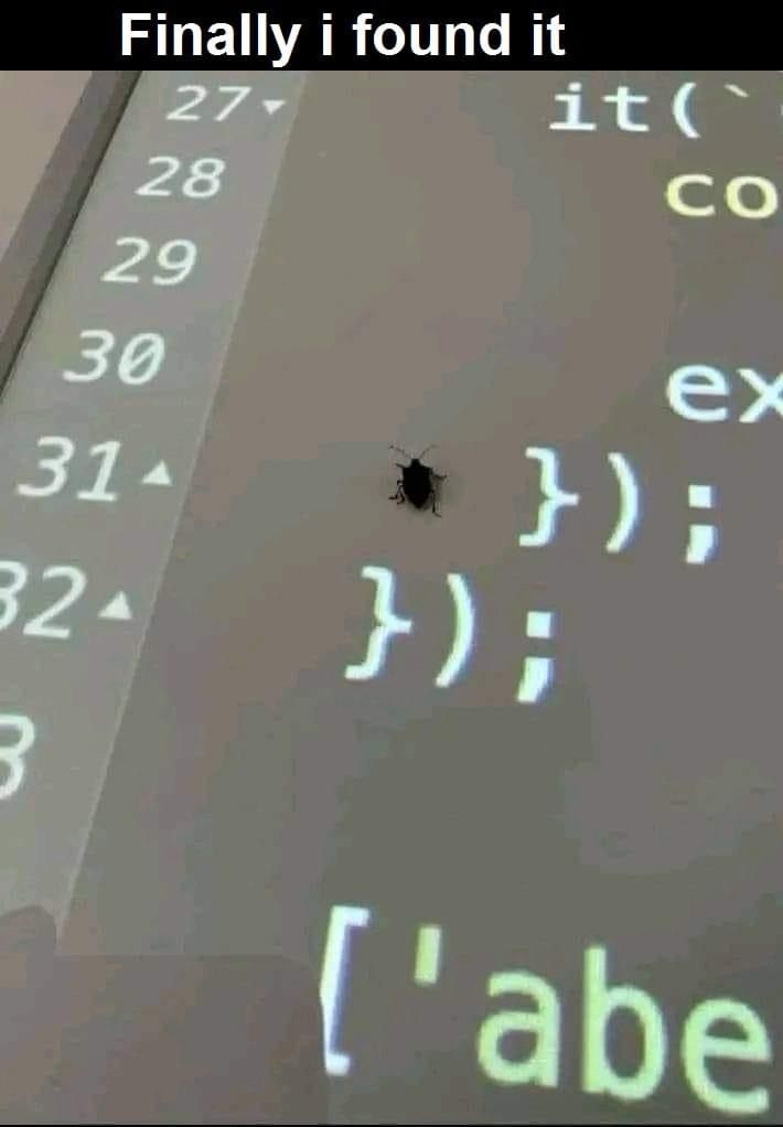 Coder girl 👩‍💻 tweet media