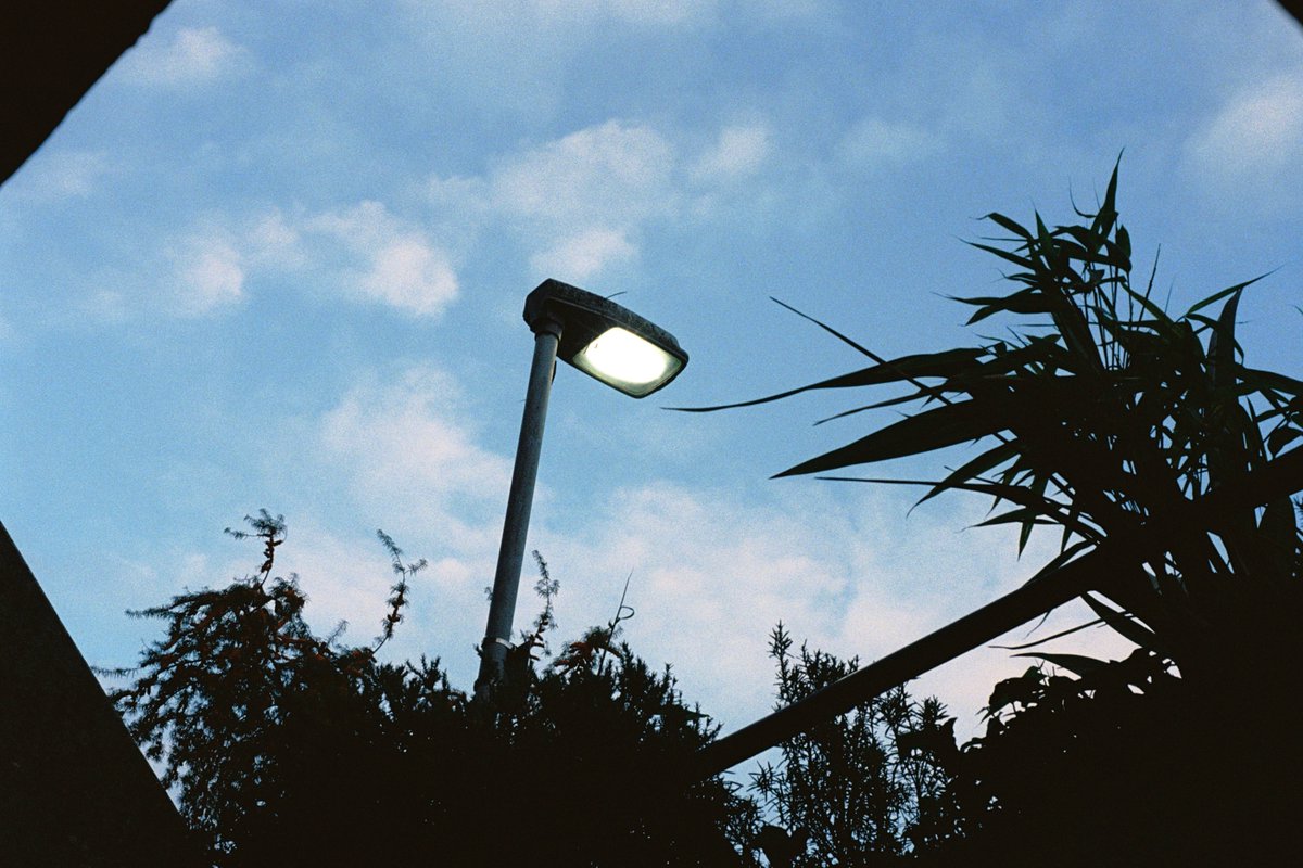 executeble's tweet image. 