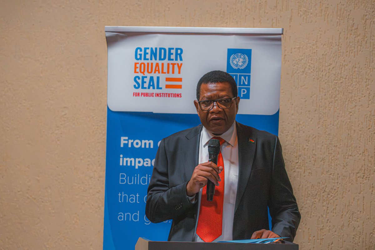 UNDP Malawi tweet media