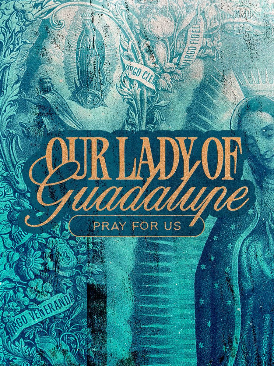 Life Teen tweet media