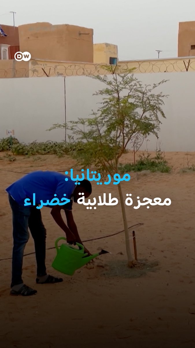في قلب الصحراء حيث تُهزم الزراعة عادةً، حوّل طلاب ثانوية في نواكشوط المستحيل إلى حصاد يشبه المعجزة #بانوراما_DW 
