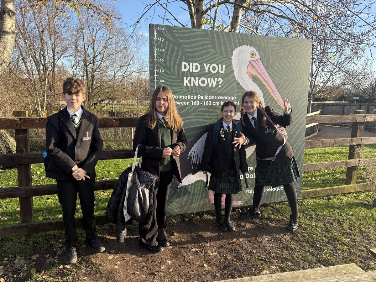 CHSC_Geography's tweet photo. Action from Year 7 Blue Planet Aquarium visit today https://t.co/j3QGNd7avR