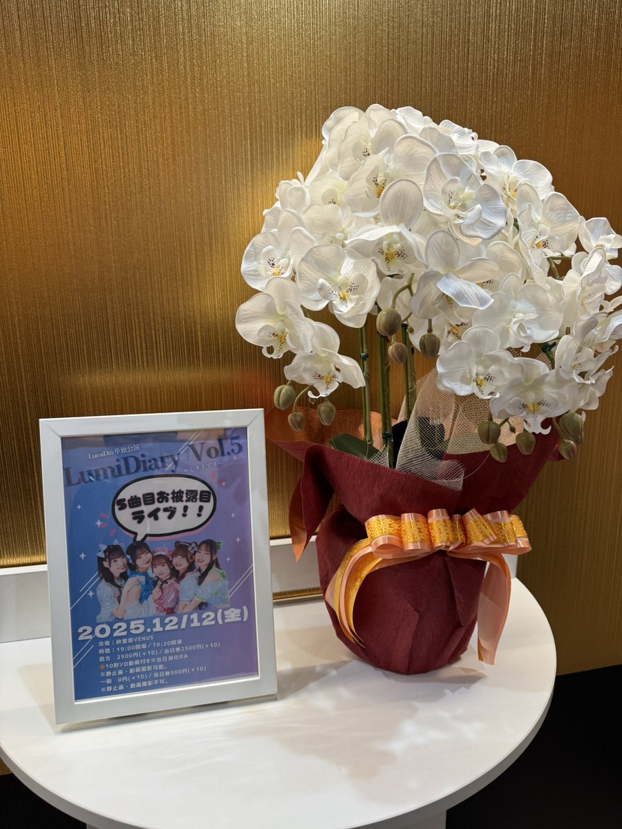 あーやん🍠࿐✩.˚🧸🍒 (@zakmetal5150) / Posts / X