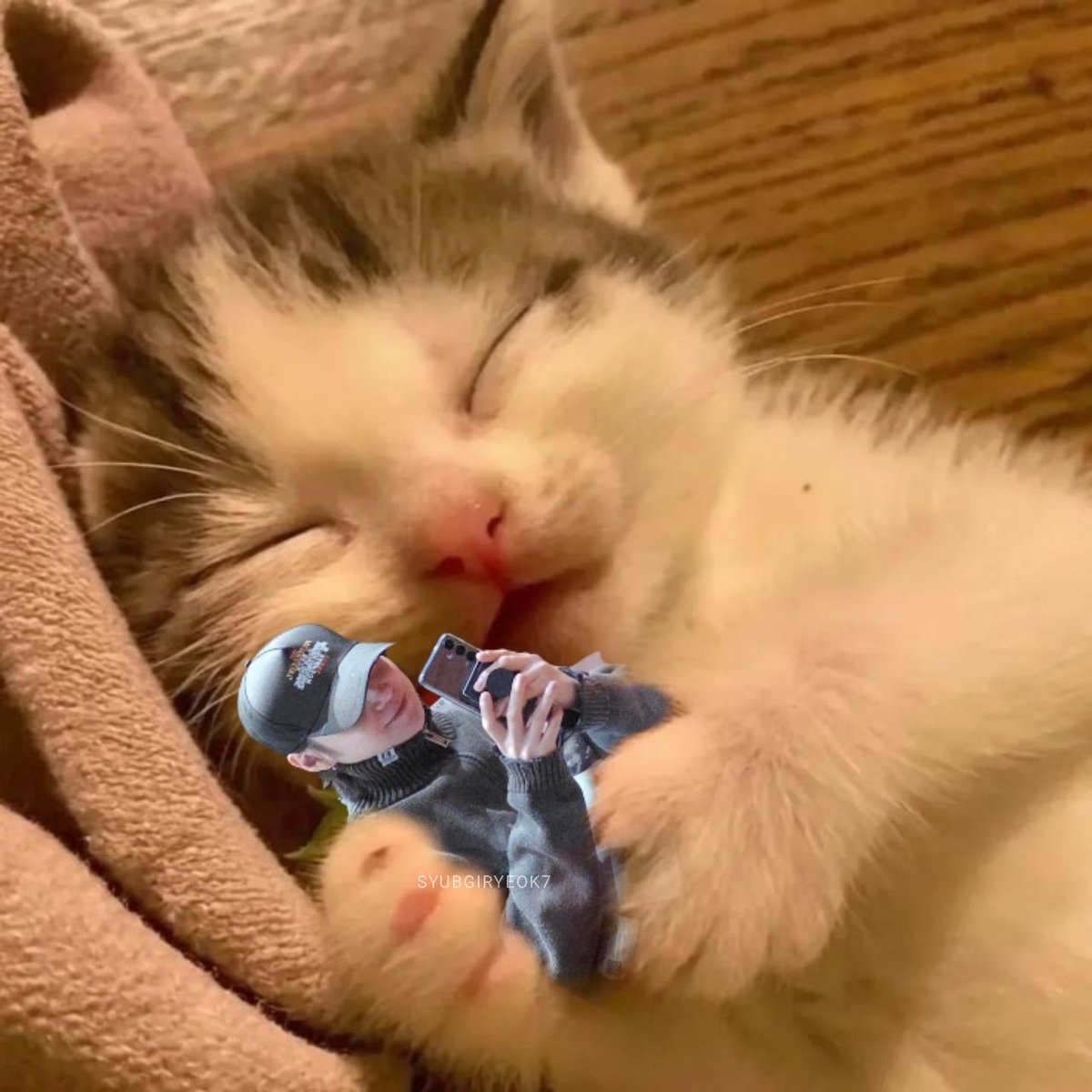 syubgiryeok7's tweet photo. 쉿...🤫😴 https://t.co/ptSLRQCyQk