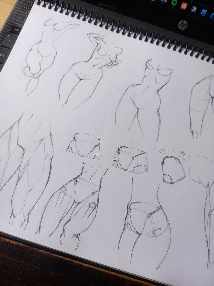 Double M Sketches tweet media