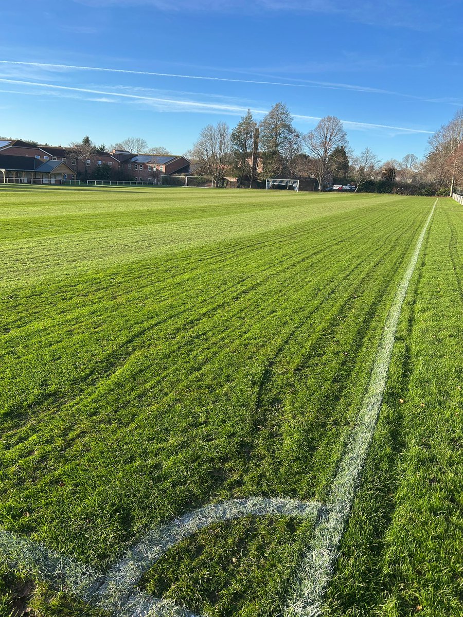 Blandford United FC tweet media