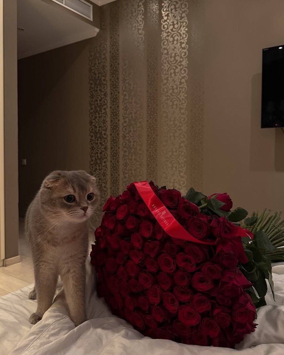 𝗟𝗲𝗲𝗻 (@1leio) on Twitter photo 