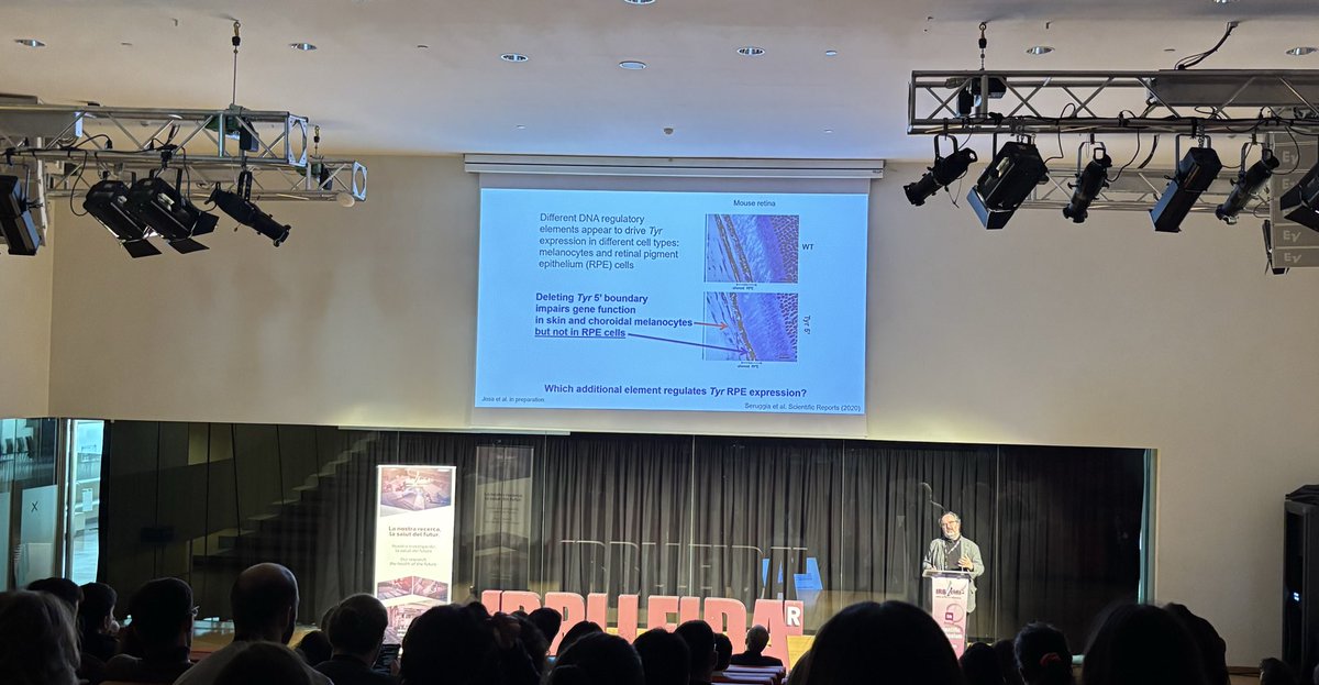 MariaMasber's tweet image. 5th Scientific Symposium of @IRBLleida_Info