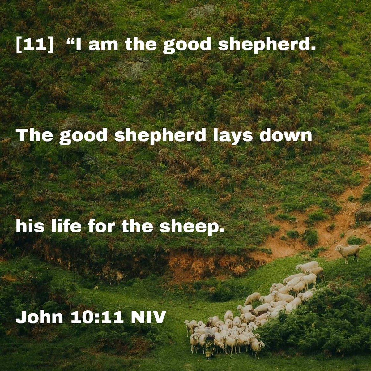 ChristDirection's tweet image. Your love will surely come find us. Like blazing wild fires singing Your name. God of mercy sweet love of mine. I have surrendered to Your design. May this offering stretch across the skies and these Halleluiahs be multiplied.