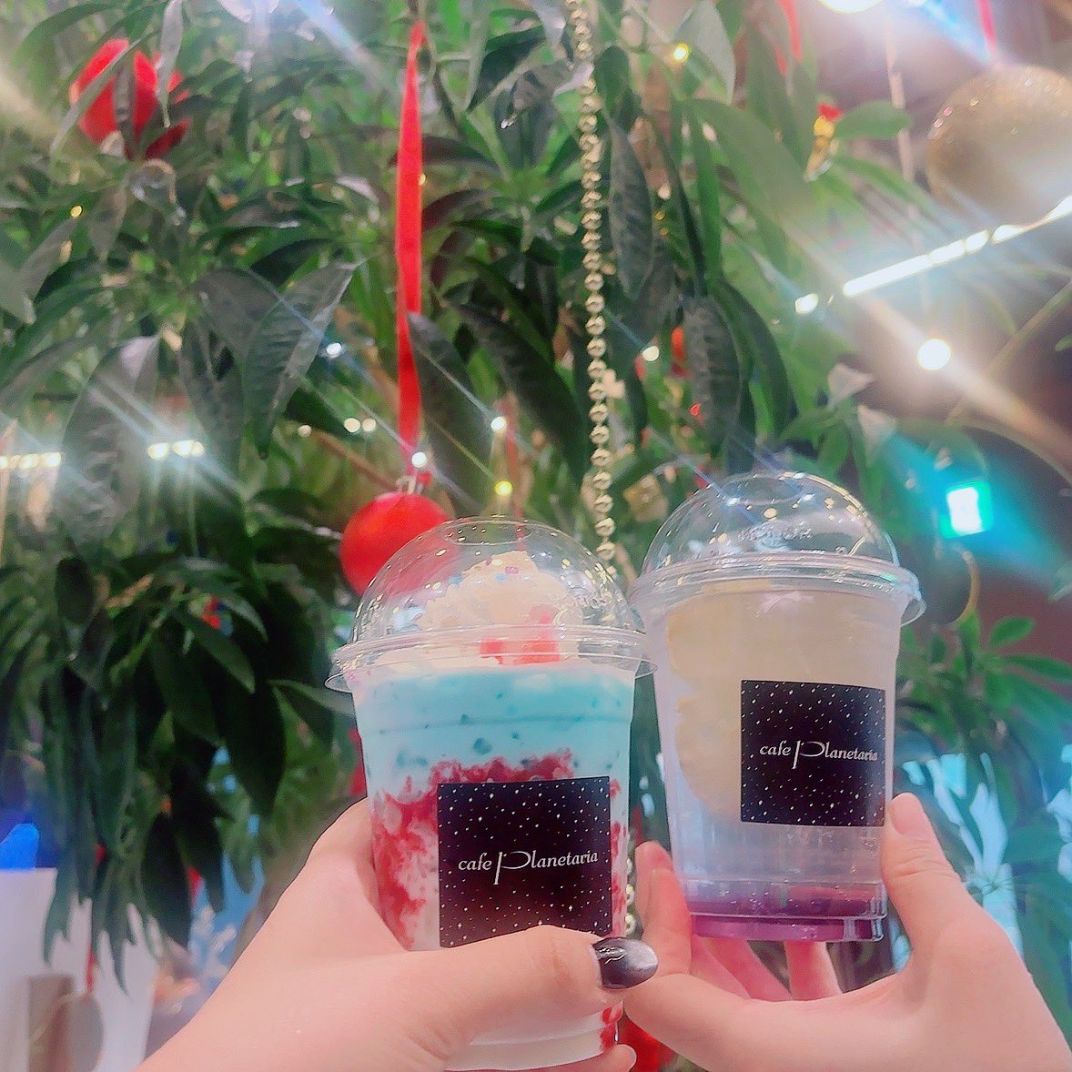 クリスマスプラネタリウム🪐🎄✨✨