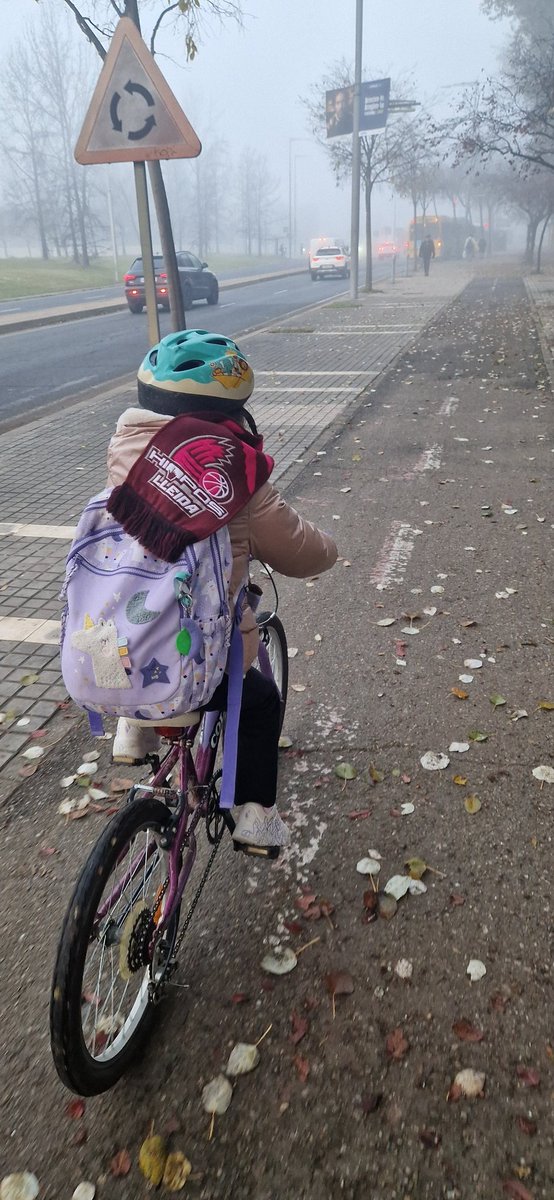 Bicibús Espiga: Imparables! 

Com que ni el <a href="/flarrosa/">Fèlix Larrosa</a> ni la <a href="/paerialleida/">Ajuntament de Lleida</a> ens fan cas potser haurem de demanar el carril bici al tió o els reis mags...

Quina pena!

<a href="/climadelleida/">Climadelleida/meteoponent</a> dur pero escalfats per <a href="/flleida/">HIOPOS LLEIDA</a>